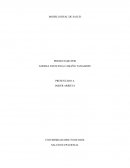 Modelo ideal de la salud