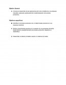 Desarrollar el sistema contable usando un sistema de costos