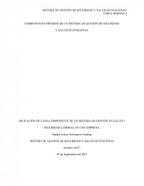 Tarea semana 3 Componentes mínimos de un sistema de gestión de seguridad. Página 1