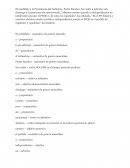 El candidato a la Presidencia del Gobierno