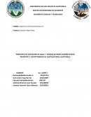 PROPUESTA DE CAPTACION DE AGUA Y SISTEMA DE RIEGO CANTÓN CHICUÁ