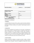 Guia Investigación de Mercados