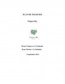 PLAN DE NEGOCIOS Project Sky