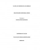 Nivel de Conciencia en Animales