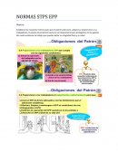 EQUIPO DE PROTECCIÓN PERSONALSELECCIÓN, USO Y MANEJO EN LOS CENTROS DE TRABAJO