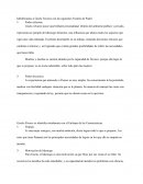 Caso de estudio Gisela Álvarez