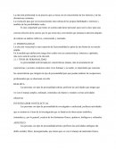 La elección profesional