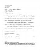 Ejemplo Notas a los Estados Financieros