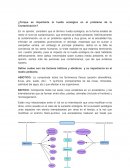 Huella ambiental ¿Porque es importante la huella ecológica en el problema de la Contaminación?