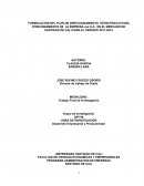 FORMULACION DEL PLAN DE DIRECCIONAMIENTO ESTRATEGICO PARA POSICIONAMIENTO DE LA EMPRESA xxx S.A. EN EL MERCADO DE SANTIAGO DE CALI PARA EL PERIODO 2011-2015