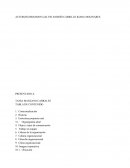 Trabajo de corporativa: Empresa Acuyser (Atención de Cuidados y Servicios)