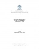 ANÁLISIS DE AGREGADO PARA CONCRETO