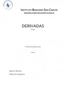 Desarrollo histórico-epistemológico de la derivada