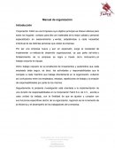 Manual de organización