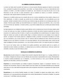 EL HOMBRE UN SER MULTIFACETICO