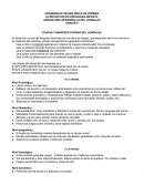 DESARROLLO DEL LENGUAJE NIÑOS DE A 3 AÑOS