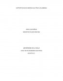 EXPPORTACION DE ENERGIA ELECTRICA COLOMBIANA