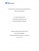 PRODUCCION DE LA STEVIA CON ESCALAS MAYORISTAS Y FERTILIZACION ADECUADA