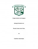 Literatura del siglo XIX: formación de la nación colombiana