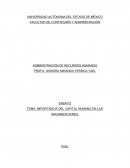 IMPORTANCIA DEL CAPITAL HUMANO EN LAS ORGANIZACIONES