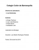 Informe de Laboratorio de biologia