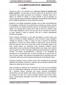 LA ALIMENTACION EN EL EMBARAZO