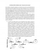 MI ANÁLISIS CRÍTICO TEORÍA DEL CAOS. “Todavía No Está Terminado”