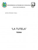 LA TUTELA. NATURALEZA JURIDICA