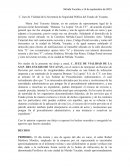 Modelo de Recurso de revisión por motivo de irregularidades