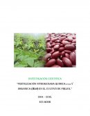 FERTILIZACION EN FREJOL