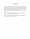 RESPONSABILIDAD SOCIAL EMPRESARIAL - RSE