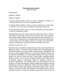 Literatura integradora.Poema ojos claros, serenos