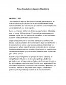 Tema: Peculado en Zapayán Magdalena