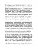 Ensayo sobre los delfines