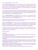 La síntesis de peptidoglicano consta de 4 fases: