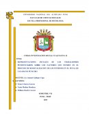¿Cuáles son las representaciones sociales que tienen los trabajadores del INPE que inciden en el proceso de resocialización de los internos del Penal de Yanamayo de la ciudad de puno 2015?