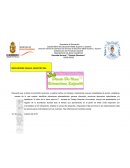 INDICADORES PARA EL DIARIO DEL NORMALISTA