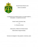 La significación de la práctica docente: una mirada subjetiva e intersubjetiva, mi experiencia de campo.