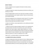 LA ALIMENTACION CAUSA LA EXTINCION