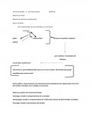 Teoria del estado. Es la conformación de una sociedad en un territorio
