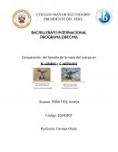 Comparación del tamaño de masas de dos especies de colibries