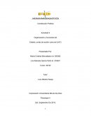 Organización y funciones del estado