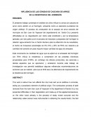 Influencia de la ceniza de la cascara de arroz