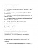 MEGAHABILIDADES PARA EL SIGLO XXI