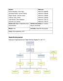 Desarrollo del proyecto: Estructura Organizacional de “Súper Servicio Quijote S.A. de C.V”