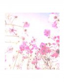 IMPORTANCIA DEL DIAGNOSTICO