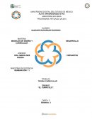 Modelo desarrolllo curricular