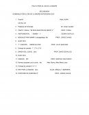 PAUTA PARA EL DIA DE LA MADRE