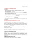 Función principal que desempeña en su empresa.