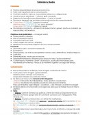 La publicidad y los medios